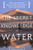 The Secret Knowledge of Water : Discovering the Essence of the American Desert