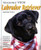 Training Your Labrador Retriever (Training Your Dog Series)