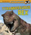 Tyrannosaurus Rex (Little Paleontologist)