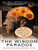 The Wisdom Paradox: How Your Mind Can Grow Stronger As Your Brain Grows Older