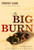 The Big Burn: Teddy Roosevelt and the Fire that Saved America