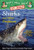 Sharks and Other Predators: A Nonfiction Companion to Magic Tree House Merlin Mission #25: Shadow of the Shark (Magic Tree House (R) Fact Tracker)