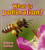 What is Pollination? (Big Science Ideas)