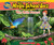 Magic School Bus Presents: The Rainforest: A Nonfiction Companion to the Original Magic School Bus Series