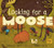 Looking for a Moose