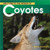 Welcome to the World of Coyotes (Welcome to the World Series)