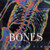 Bones: Our Skeletal System