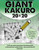 Giant Kakuro: 100 20x20 puzzles and solutions