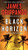 Black Horizon (Jack Swyteck Novel)