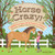 Horse Crazy!: 1,001 Fun Facts, Craft Projects, Games, Activities, and Know-How for Horse-Loving Kids