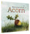 Because of an Acorn