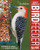 Audubon North American Birdfeeder Guide