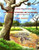 Panchatantra - 51 short stories with Moral: Illustrated