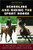 Schooling and Riding the Sport Horse: A Modern American Hunter/Jumper System