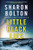 Little Black Lies: A Novel