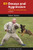 K9 Decoys and Aggression: A Manual for Training Police Dogs (K9 Professional Training Series)