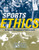 Sports Ethics for Sports Management Professionals