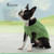 Seamless Knits for Posh Pups