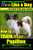 Papillon, Papillon Training AAA AKC: Think Like a Dog, but Dont Eat Your Poop! | Papillon Breed Expert Training |: Heres EXACTLY How to Train Your Papillon (Volume 1)