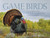 Game Birds (Wild Turkey cover): A Celebration of North American Upland Birds