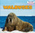 Walruses (Powerkids Readers: Sea Friends)