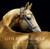 Golden Horse: The Legendary Akhal-Teke