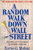 A Random Walk Down Wall Street: Including a Life-Cycle Guide to Personal Investing