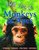 Monkeys & Apes (100 Facts)