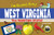 I'm Reading About West Virginia (West Virginia Experience)