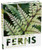 The Plant Lover's Guide to Ferns (The Plant Lovers Guides)