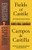 Fields of Castile/Campos de Castilla: A Dual-Language Book (Dover Dual Language Spanish)