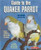 Guide to the Quaker Parrot