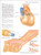 Know Your Body: The Atlas of Anatomy