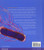 Microbiology with Diseases by Body System with MasteringMicrobiology with Current Issues in Microbiology Vols 1 and 2 (3rd Edition)