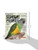 Guide to the Senegal Parrot and Its Family