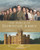 World of Downton Abbey