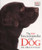 New Encyclopedia of the Dog