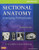 Workbook for Sectional Anatomy for Imaging Professionals, 3e