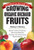 Storey's Guide to Growing Organic Orchard Fruits: Market or Home Production * Site & Crop Selection * Planting, Care & Harvesting * Business Basics