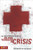 The Youth Worker's Guide to Helping Teenagers in Crisis (Youth Specialties (Paperback))