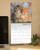 Kittens Mini Wall Calendar (2017)