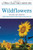 Wildflowers: A Fully Illustrated, Authoritative and Easy-to-Use Guide (A Golden Guide from St. Martin's Press)