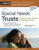 Special Needs Trusts: Protect Your Child's Financial Future