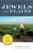 Jewels of the Plains: Wildflowers of the Great Plains Grasslands and Hills