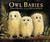 Owl Babies