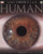 Human (DK Smithsonian Institution)