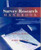 Survey Research Handbook (Paperback)