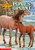 Ponies at the Point (Animal Ark Series #10)