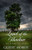 Land of the Shadow: 1861 - 1863 Adventure and Romance Thrive During the War Between the States (Appomattox Saga: Thorndike Press Large Print Christian Historical Fiction)