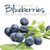The Joy of Blueberries: Nature's Little Blue Powerhouse (Fruits & Favorites Cookbooks)